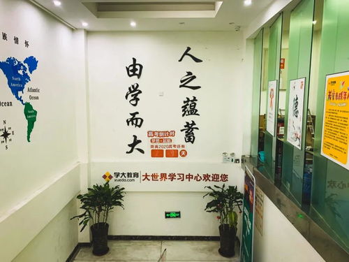 测评 | 艺考结束，文化课培训机构怎么选？我们去看了这几家