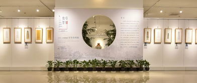 历史文化与艺术的多元融合——上海思博职业技术学院中国传统文化教育活动开放日掠影